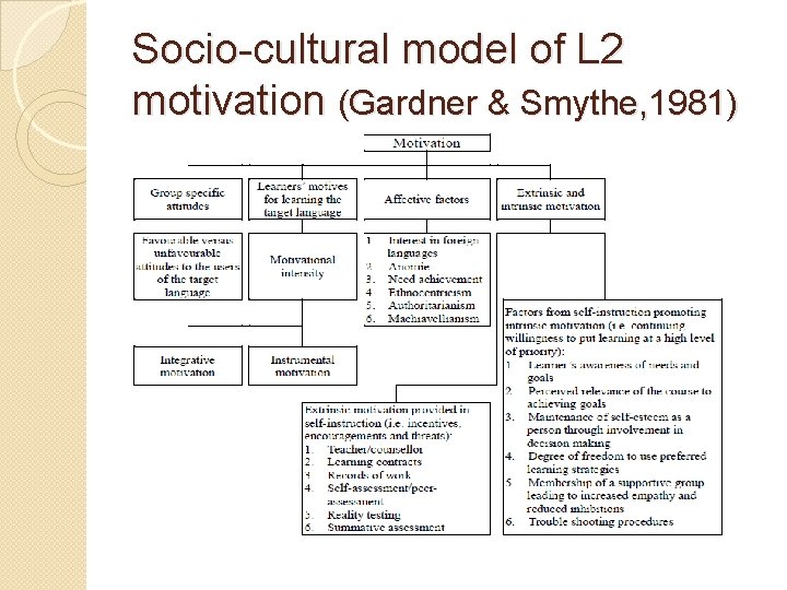 Socio-cultural model of L 2 motivation (Gardner & Smythe, 1981) 