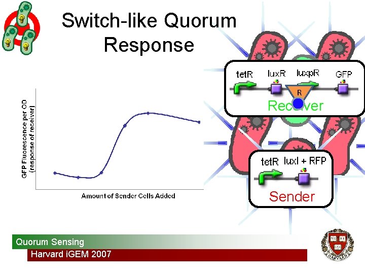 Switch-like Quorum Response R Receiver Sender Quorum Sensing Harvard i. GEM 2007 