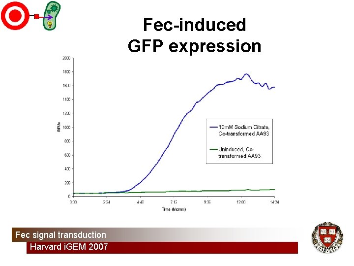 Fec-induced GFP expression Fec signal transduction Harvard i. GEM 2007 