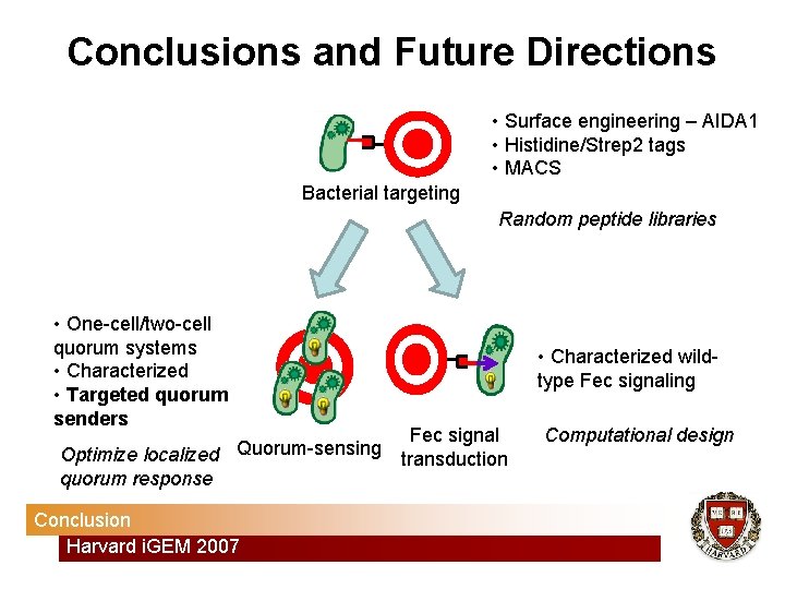 Conclusions and Future Directions • Surface engineering – AIDA 1 • Histidine/Strep 2 tags