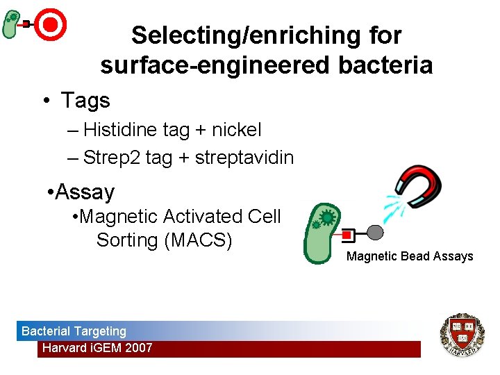 Selecting/enriching for surface-engineered bacteria • Tags – Histidine tag + nickel – Strep 2