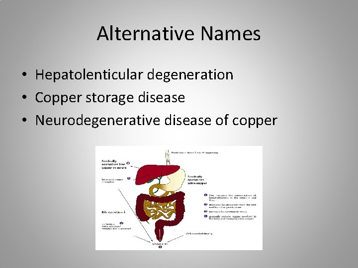 Alternative Names • Hepatolenticular degeneration • Copper storage disease • Neurodegenerative disease of copper