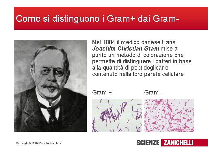 Come si distinguono i Gram+ dai Gram. Nel 1884 il medico danese Hans Joachim