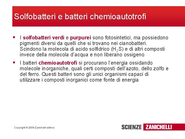 Solfobatteri e batteri chemioautotrofi § I solfobatteri verdi e purpurei sono fotosintetici, ma possiedono