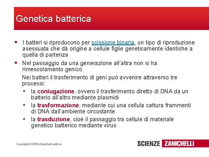 Genetica batterica § I batteri si riproducono per scissione binaria, un tipo di riproduzione