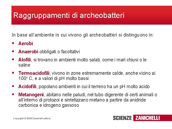 Raggruppamenti di archeobatteri In base all’ambiente in cui vivono gli archeobatteri si distinguono in: