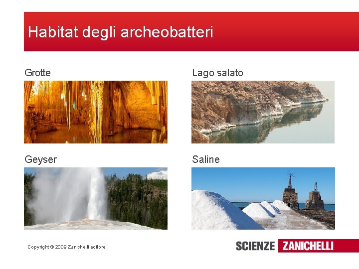 Habitat degli archeobatteri Grotte Lago salato Geyser Saline Copyright © 2009 Zanichelli editore 