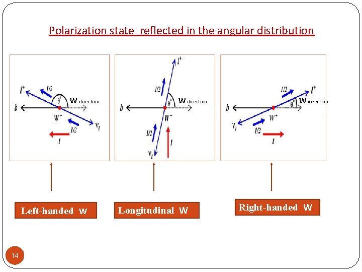 Polarization state reflected in the angular distribution W direction Left-handed W 14 W direction