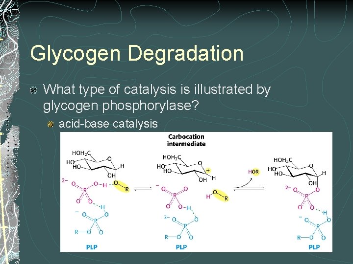 Glycogen Degradation What type of catalysis is illustrated by glycogen phosphorylase? acid-base catalysis Glycogen Degradation What type of catalysis is illustrated by glycogen phosphorylase? acid-base catalysis