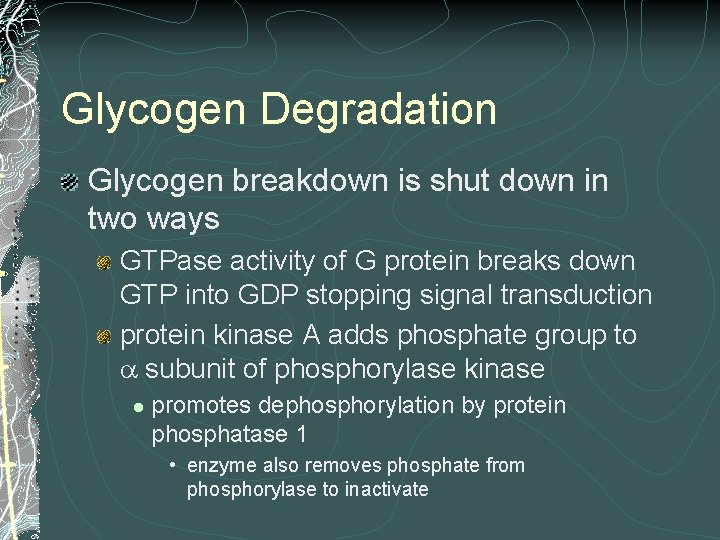 Glycogen Degradation Glycogen breakdown is shut down in two ways GTPase activity of G