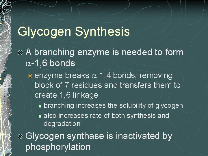 Glycogen Synthesis A branching enzyme is needed to form -1, 6 bonds enzyme breaks