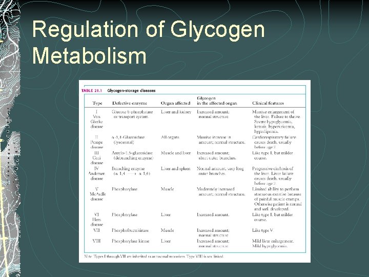 Regulation of Glycogen Metabolism 