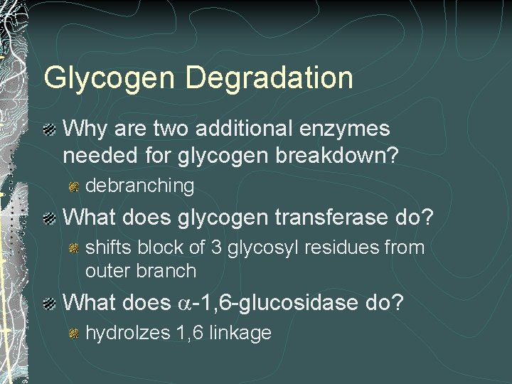 Glycogen Degradation Why are two additional enzymes needed for glycogen breakdown? debranching What does