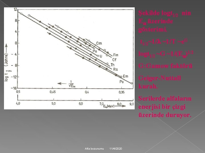 Şekilde logt 1/2 nin E üzerinde gösterimi. t 1/2~1/ ~1/T ~e. G logt 1/2