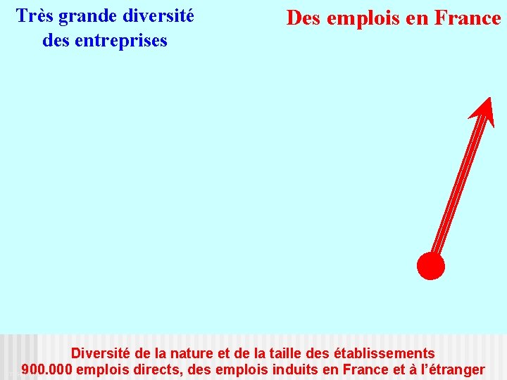 Très grande diversité des entreprises Des emplois en France Diversité de la nature et