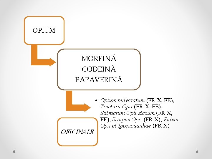 OPIUM MORFINĂ CODEINĂ PAPAVERINĂ OFICINALE • Opium pulveratum (FR X, FE), Tinctura Opii (FR