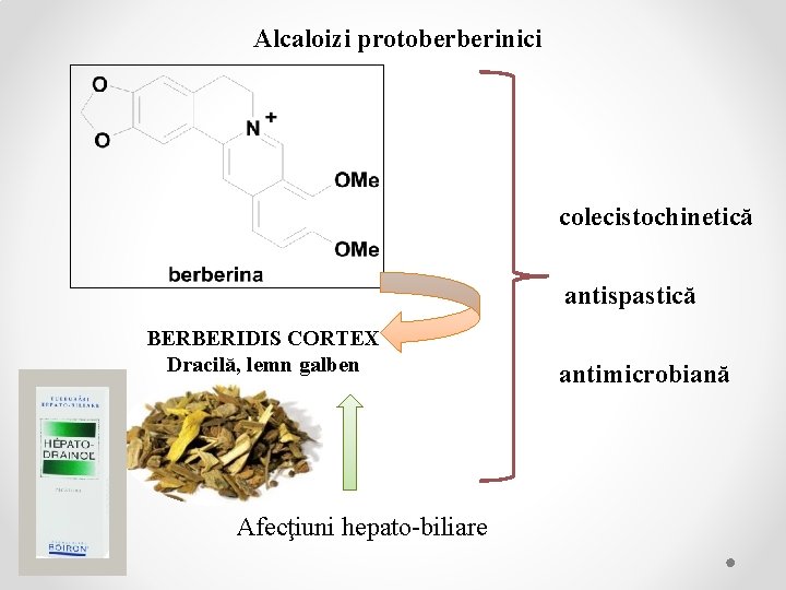 Alcaloizi protoberberinici colecistochinetică antispastică BERBERIDIS CORTEX Dracilă, lemn galben Afecţiuni hepato-biliare antimicrobiană 