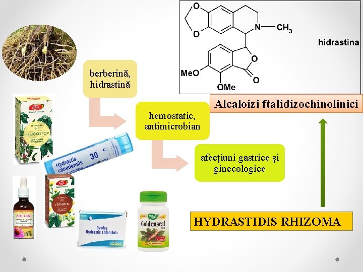 berberină, hidrastină hemostatic, antimicrobian Alcaloizi ftalidizochinolinici afecţiuni gastrice şi ginecologice HYDRASTIDIS RHIZOMA 