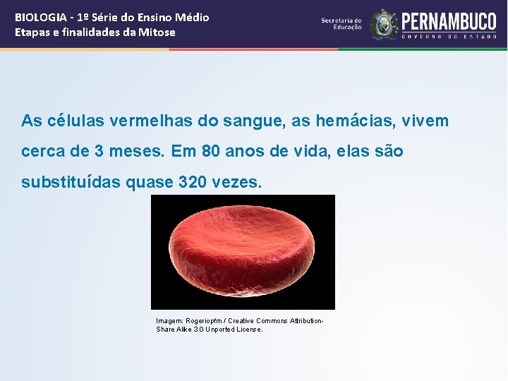 BIOLOGIA - 1º Série do Ensino Médio Etapas e finalidades da Mitose As células