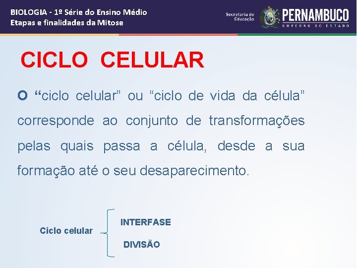 BIOLOGIA - 1º Série do Ensino Médio Etapas e finalidades da Mitose CICLO CELULAR