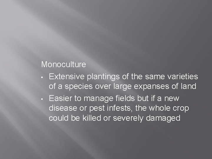 Monoculture • Extensive plantings of the same varieties of a species over large expanses