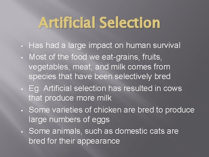 Artificial Selection • • • Has had a large impact on human survival Most