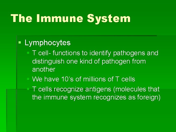 The Immune System § Lymphocytes § T cell- functions to identify pathogens and distinguish