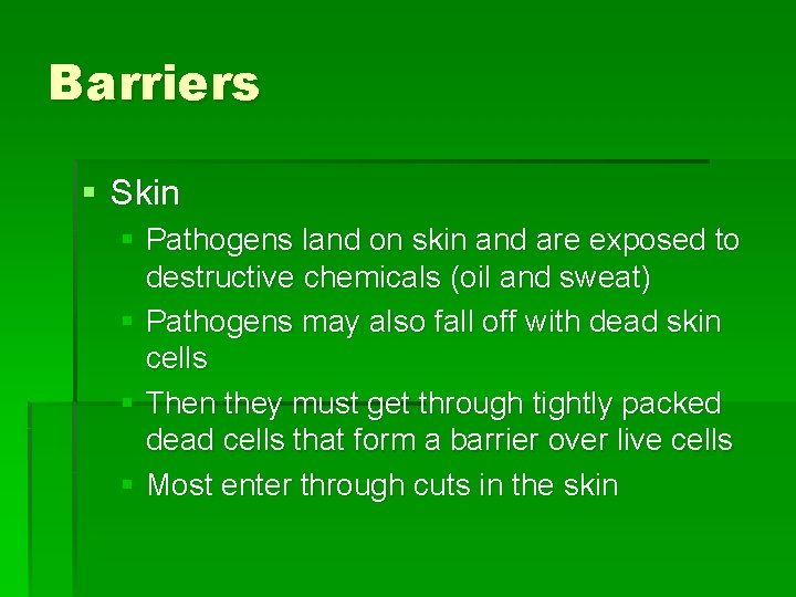 Barriers § Skin § Pathogens land on skin and are exposed to destructive chemicals
