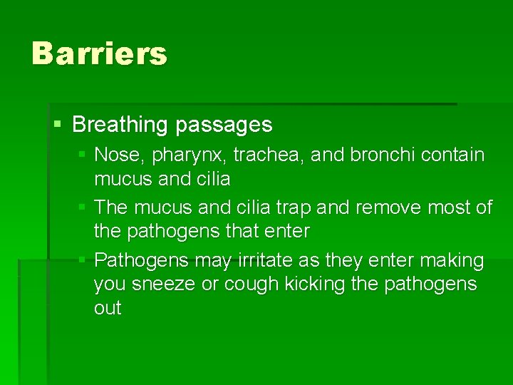 Barriers § Breathing passages § Nose, pharynx, trachea, and bronchi contain mucus and cilia