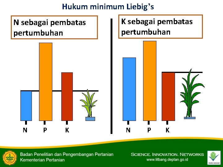 Hukum minimum Liebig’s N sebagai pembatas pertumbuhan N P K K sebagai pembatas pertumbuhan