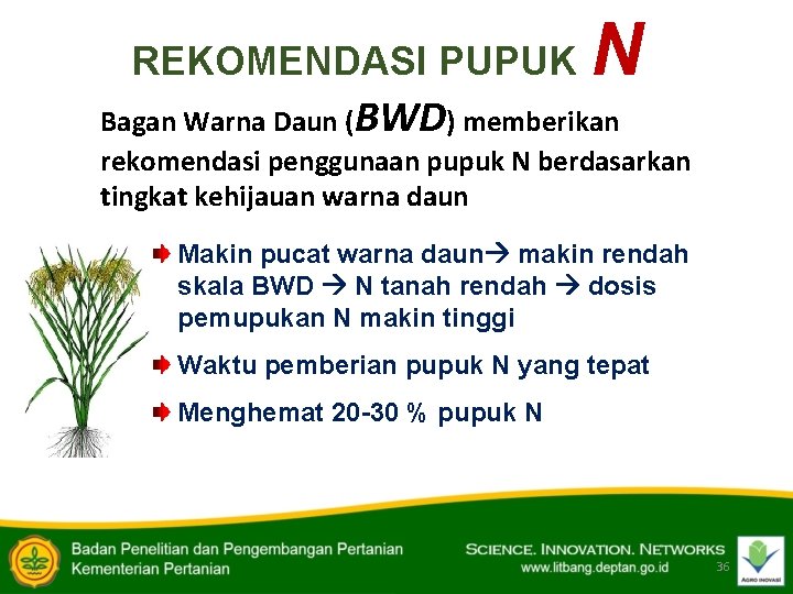 REKOMENDASI PUPUK N Bagan Warna Daun (BWD) memberikan rekomendasi penggunaan pupuk N berdasarkan tingkat
