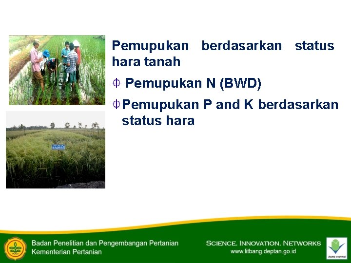 Pemupukan berdasarkan status hara tanah Pemupukan N (BWD) Pemupukan P and K berdasarkan status