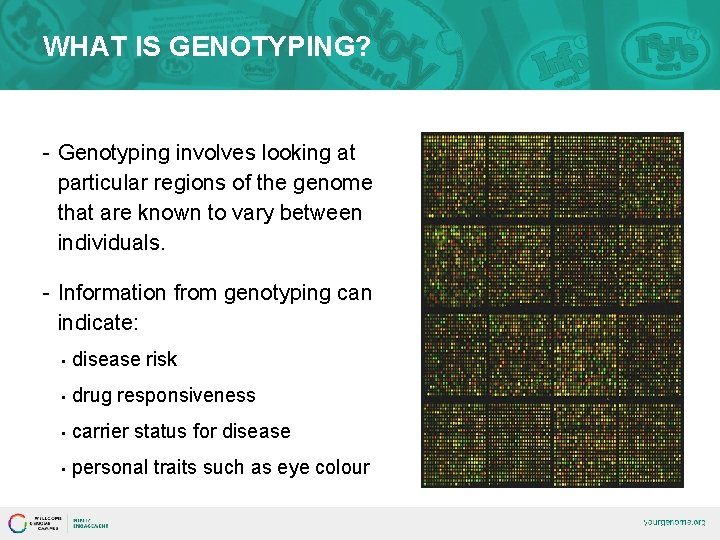 WHAT IS GENOTYPING? - Genotyping involves looking at particular regions of the genome that