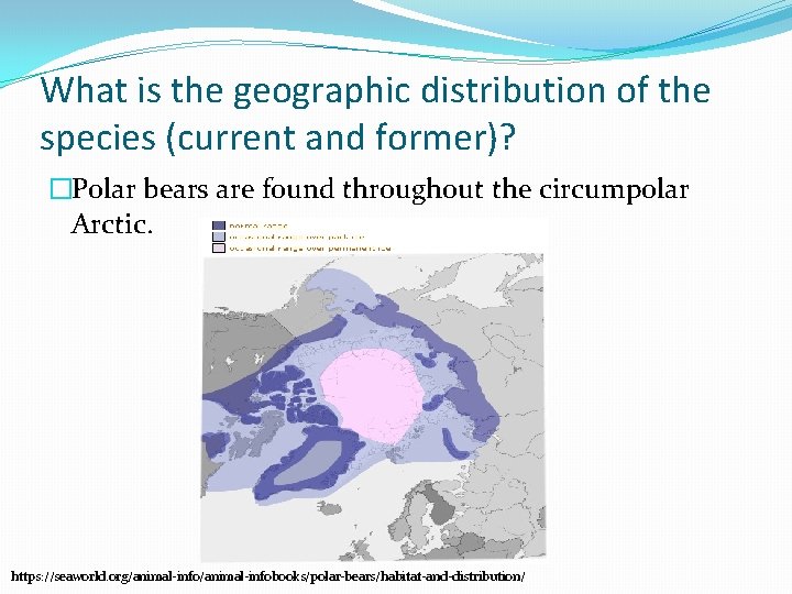 What is the geographic distribution of the species (current and former)? �Polar bears are