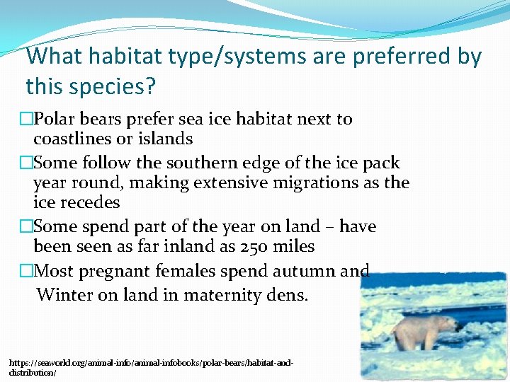 What habitat type/systems are preferred by this species? �Polar bears prefer sea ice habitat