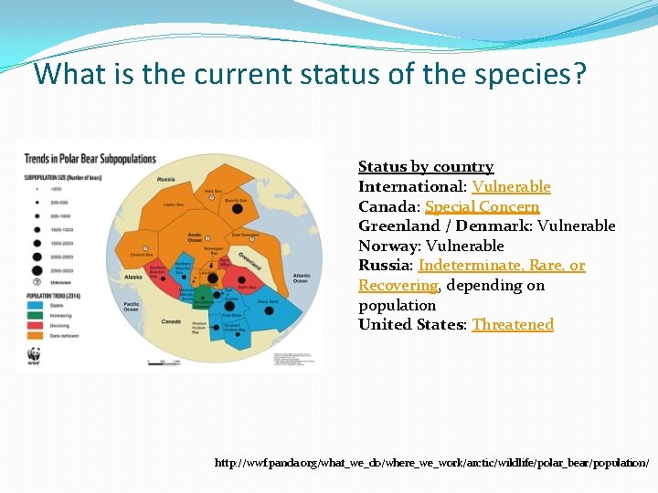 What is the current status of the species? Status by country International: Vulnerable Canada:
