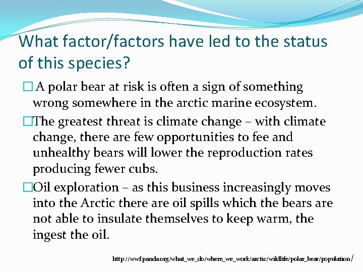 What factor/factors have led to the status of this species? � A polar bear