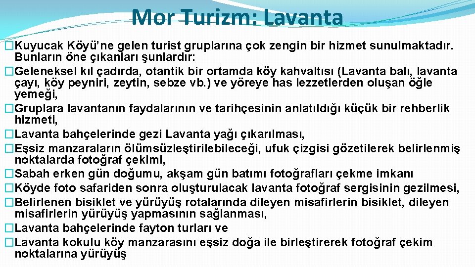 Mor Turizm: Lavanta �Kuyucak Köyü’ne gelen turist gruplarına çok zengin bir hizmet sunulmaktadır. Bunların