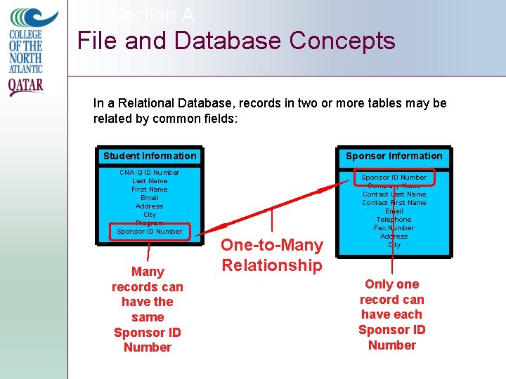 Section A File and Database Concepts In a Relational Database, records in two or