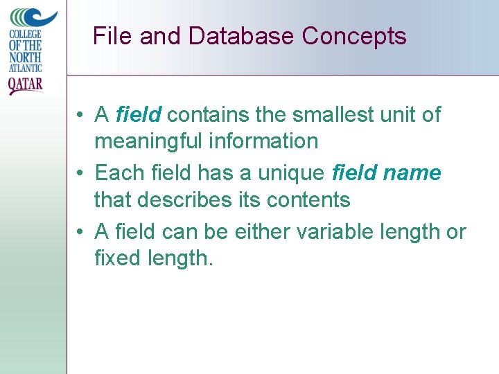File and Database Concepts • A field contains the smallest unit of meaningful information