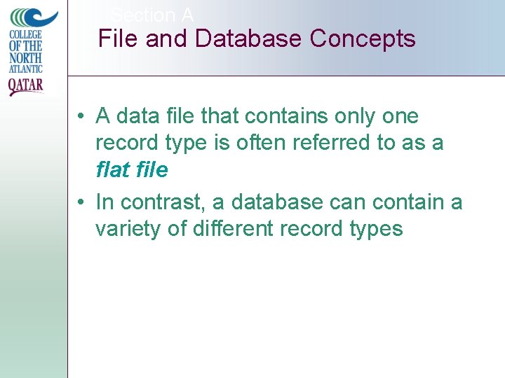 Section A File and Database Concepts • A data file that contains only one