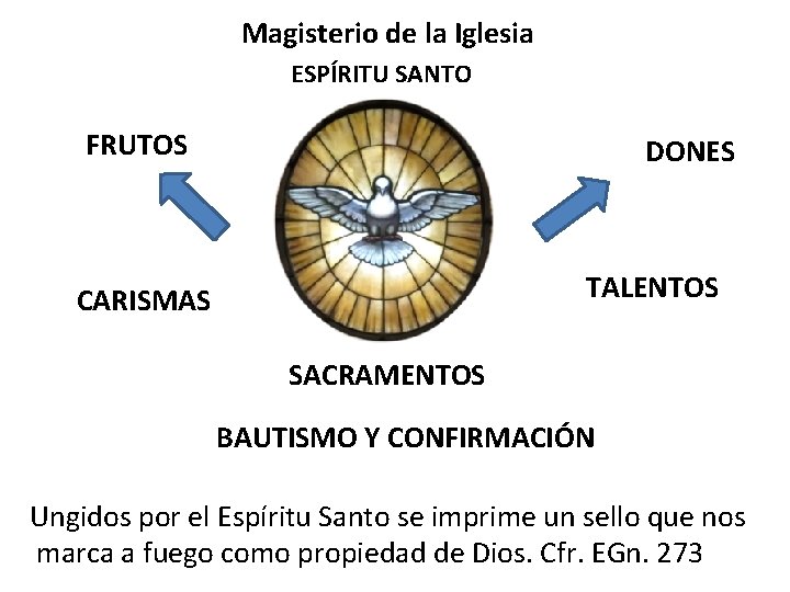 Magisterio de la Iglesia ESPÍRITU SANTO FRUTOS DONES TALENTOS CARISMAS SACRAMENTOS BAUTISMO Y CONFIRMACIÓN