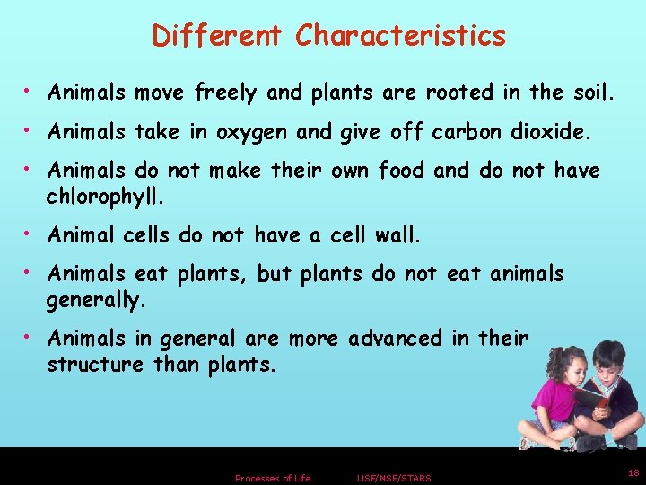 Different Characteristics • Animals move freely and plants are rooted in the soil. •