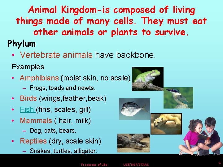 Animal Kingdom-is composed of living things made of many cells. They must eat other