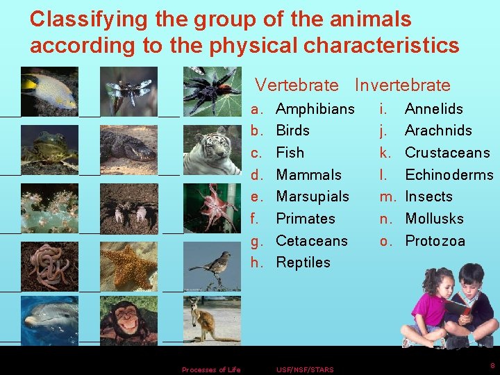 Classifying the group of the animals according to the physical characteristics Vertebrate Invertebrate a.