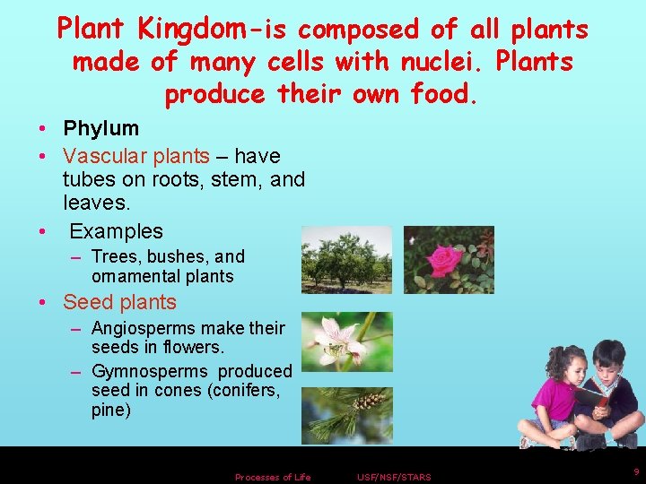 Plant Kingdom-is composed of all plants made of many cells with nuclei. Plants produce