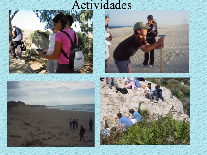 Actividades 