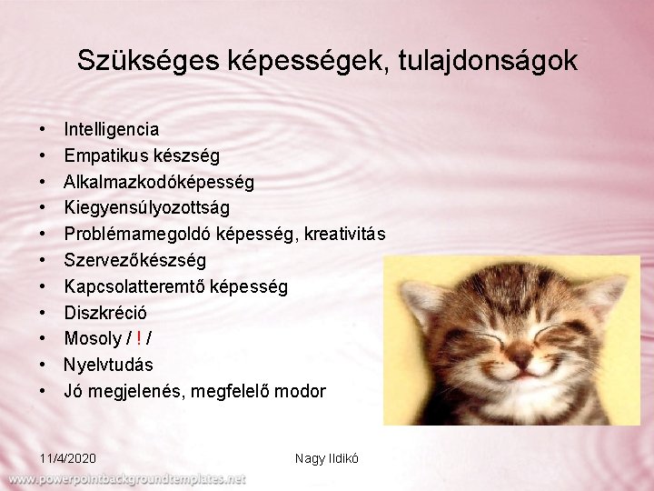 Szükséges képességek, tulajdonságok • • • Intelligencia Empatikus készség Alkalmazkodóképesség Kiegyensúlyozottság Problémamegoldó képesség, kreativitás