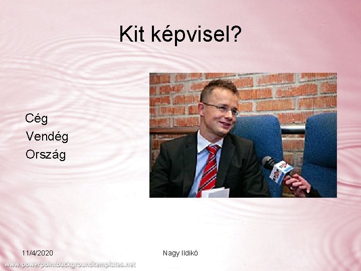 Kit képvisel? Cég Vendég Ország 11/4/2020 Nagy Ildikó 