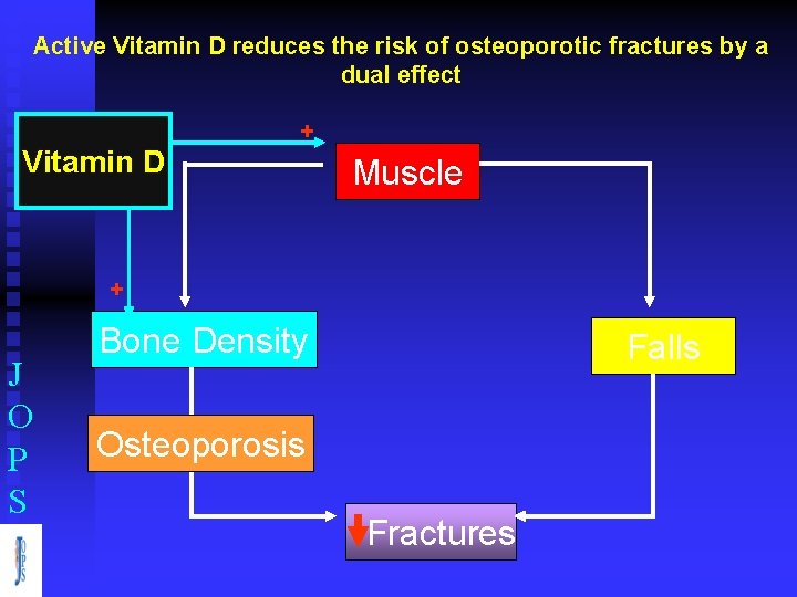 Active Vitamin D reduces the risk of osteoporotic fractures by a dual effect Vitamin